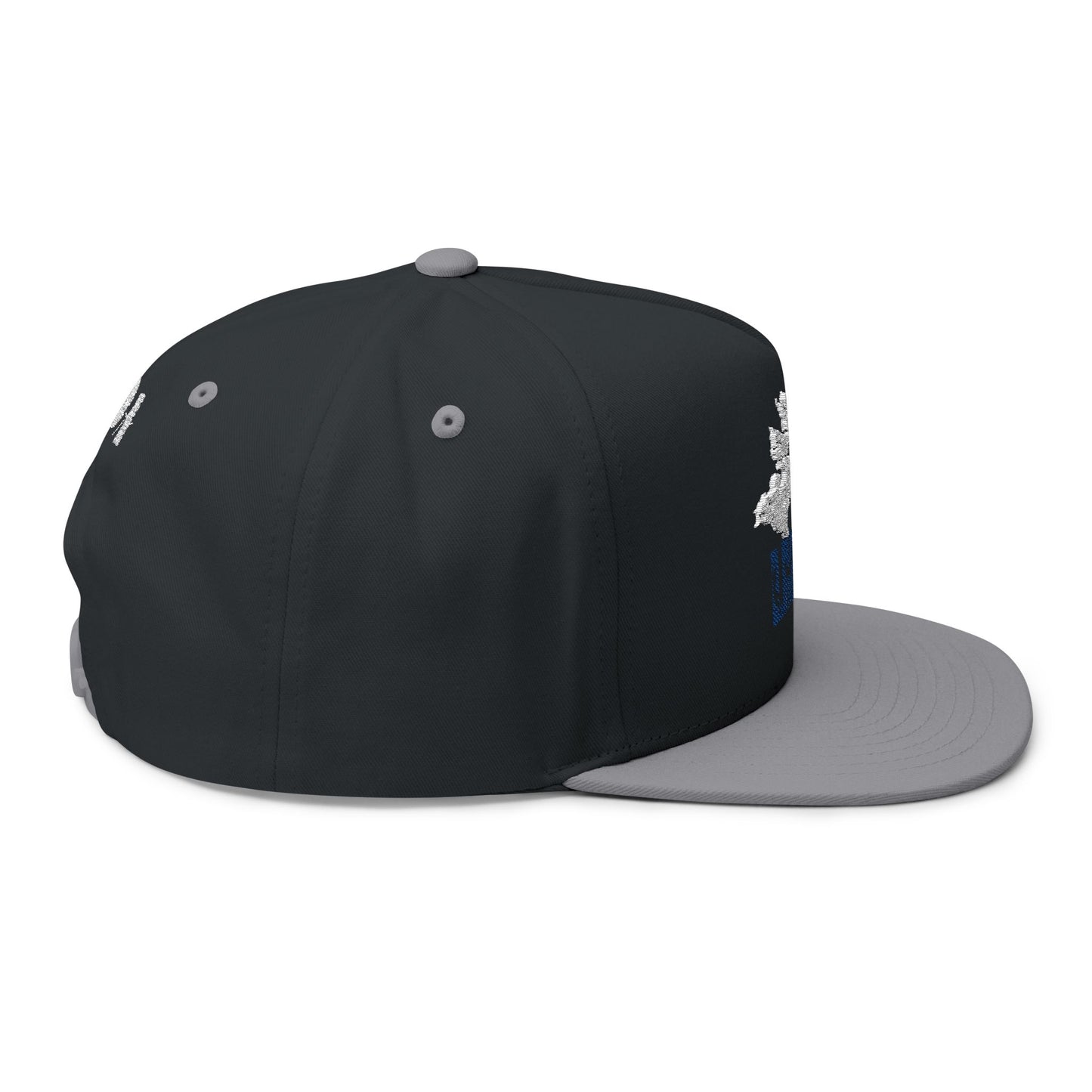 Flat Bill Cap — LMDA Embroidered Distressed Logo Snapback