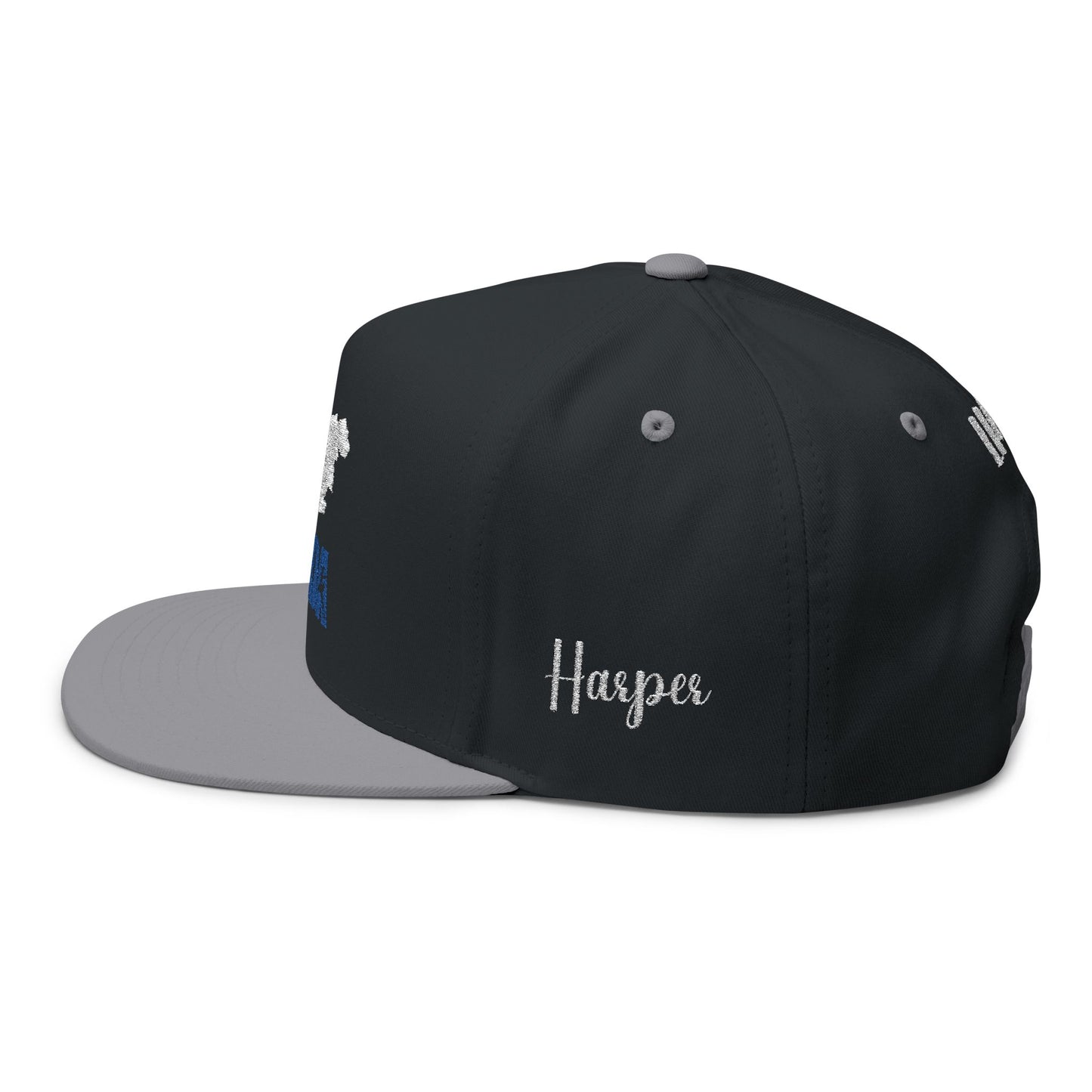 Flat Bill Cap — LMDA Embroidered Distressed Logo Snapback