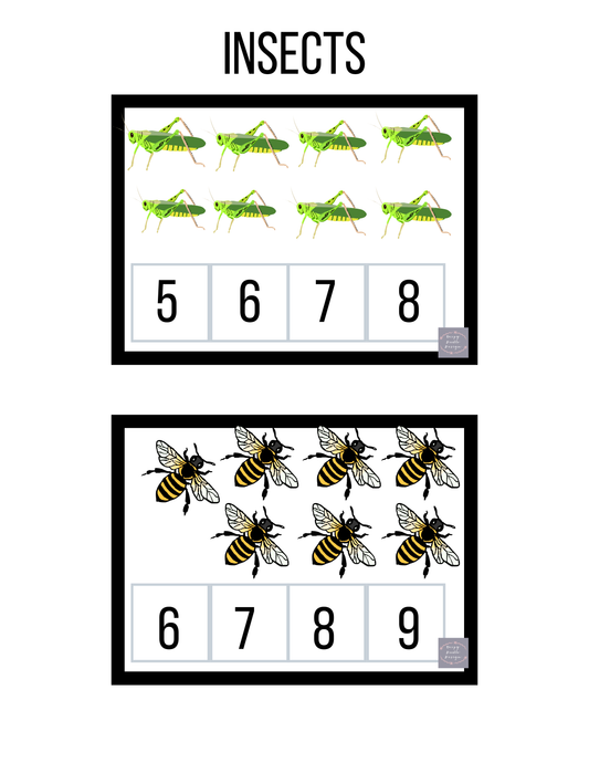 Insect Count and Clip Cards | Preschool Math Center
