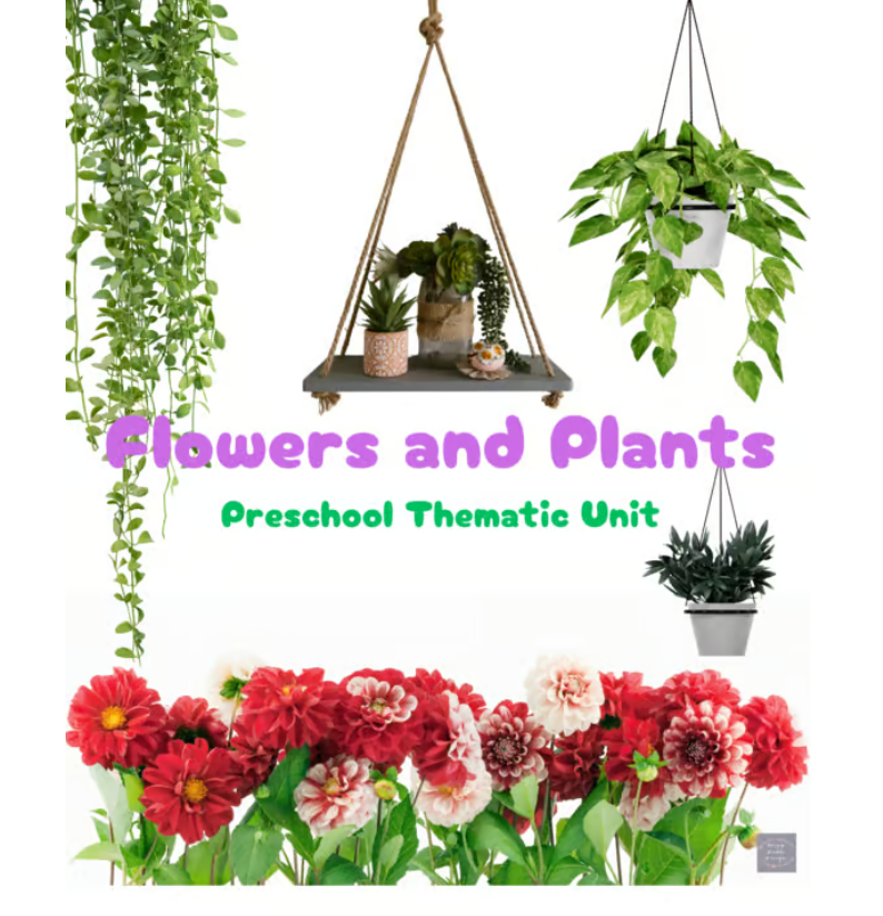 Flowers and Plants Study for young children